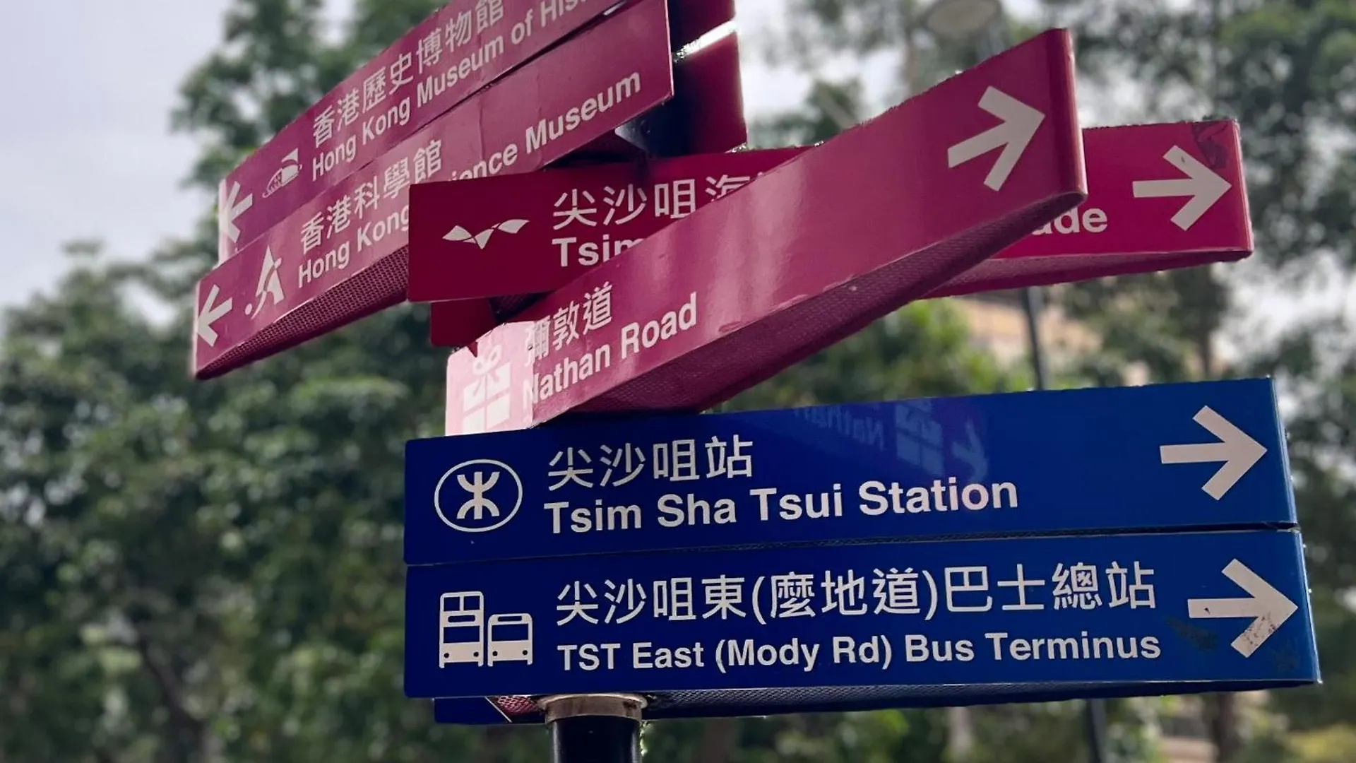 Amu Dreamhouse 阿木旅舍 Hostel Hong Kong China